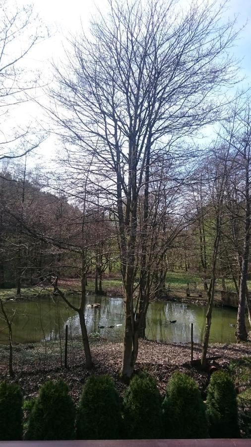 Ferienwohnung Am Ententeich Bad Marienberg Luaran gambar